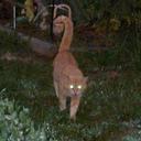 Kat Robertson - @mountainkat47 - Twitter