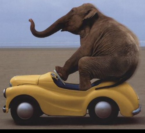 yellow_car_game's profile picture. A friendly puncher!