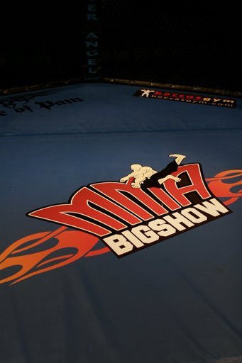 The Big Show Of Pro/Am Mixed Martial Arts
