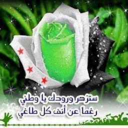 كلّ الأوطَان فيها مقابرُ ..... الاّ سوريّة مقبرة فيها وطنٌ