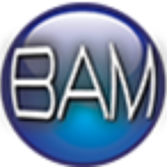BAMarketingIT's profile picture. BAM's mission is to make businesses more money so they can create new jobs for people. It's time to step up and play ball. Ask for references because we work!