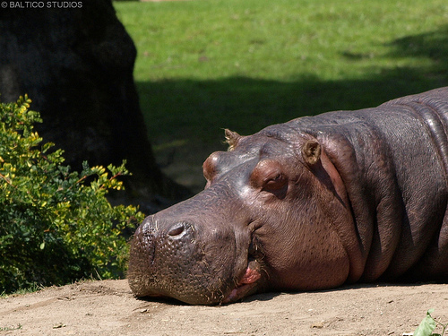 HubbityBubba's profile picture. Always Hubb before you Bubb. Don't argue with me on this one people!