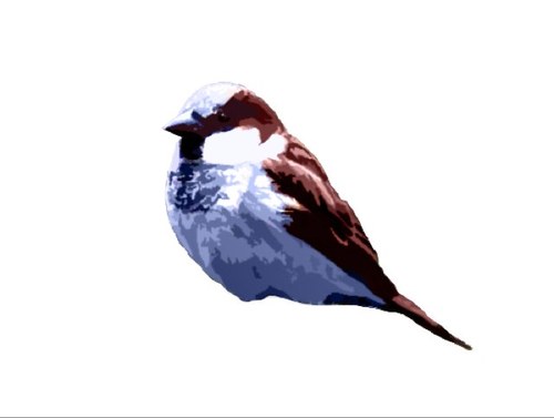 Come Together. Right Now. Over Coffee! Minnesota's only source of Certified Bird Friendly Coffee!