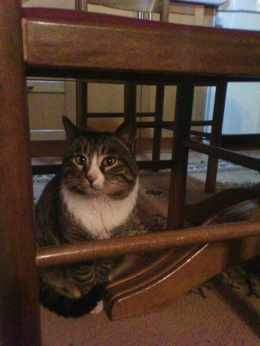 spndeansamlover's profile picture. 