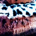 carla tapia - @carlayasarael34 - Twitter