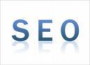 Search Engine Optimization (SEO) in Mauritius
