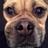 MelanieRQ6's profile image