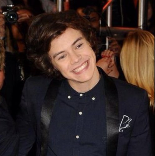 I tweet pictures of my hero Harry Styles. 

                                ❤