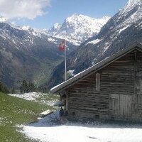 Abbas Ramji (@abbasramji) 's Twitter Profile