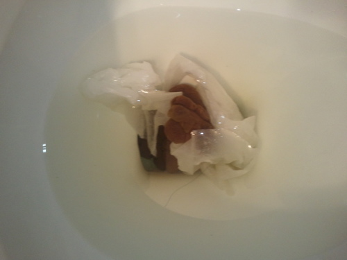 HI! I'm PooPics, I tweet pics of my Shits! #FollowMe