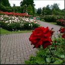 سلطان (@05666Ss) Twitter