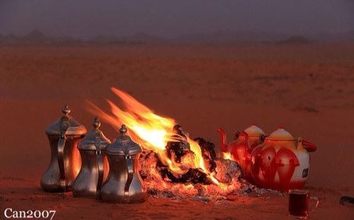 شاعر وسياسي واحب البر والصيد