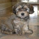 Faith Reddick - @FaithReddick2 - Twitter