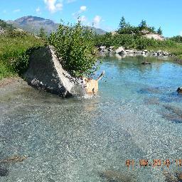 fulviomastroste's profile picture. 