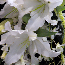 We ARE fresh! Durango's premier, award winning florist and gift shop! Visit our GREAT new location at 21st & Main to experience The Gift Garden!
