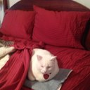 Elisa Cox - @cox_elisa - Twitter