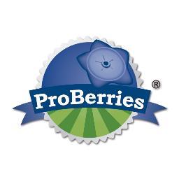ProBerries's profile picture. Peruvian Blueberry Grower and Exporter