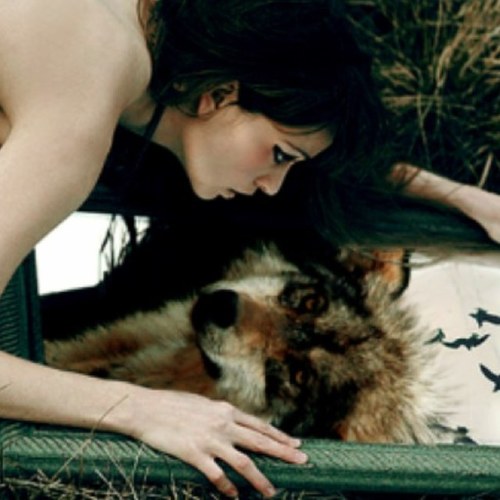 Cursed and outcast. Blamed for the death of my brother. I prefer the company of my own. The wolves. The only ones who accept me