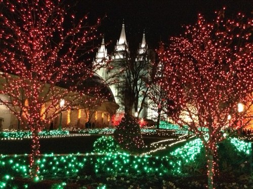 sciencelabrat's profile picture. 