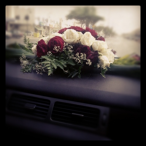 NOUFY19's profile picture. كل منا في قلبه شي بااالحيل يوجعه :(