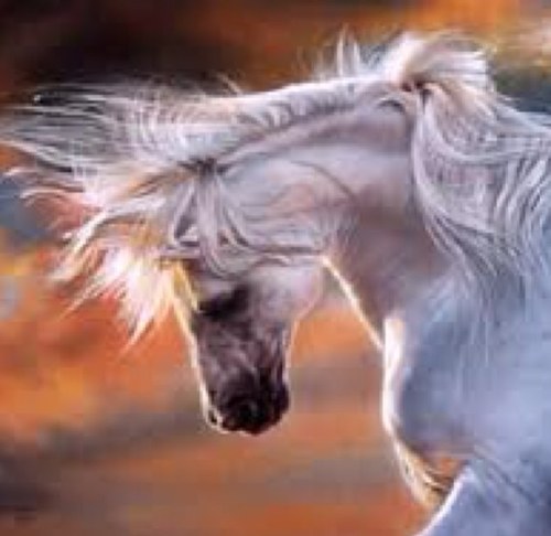 RahaHee's profile picture. 