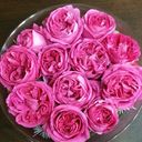 لحظة صمت (@1397hlm) Twitter