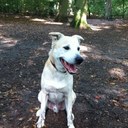 Sandra Dekker - @acmdekker - Twitter