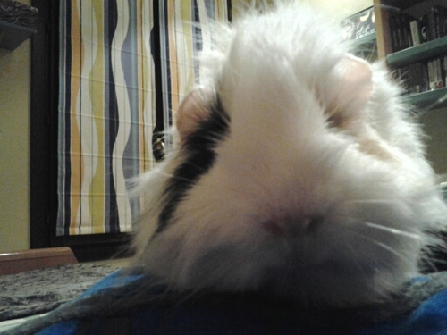 Mikel_iikel's profile picture. I hope that you can see that you are the greatest thing to me.