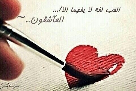 انا ديم احمم بس ححبيت اققول تشرفني متابعتك على instagram :: dyo0o0o0mh
