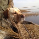 John Stoneham - @JimEcrackedcorn - Twitter