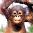 Helen Cramer - @CramerHM - Twitter