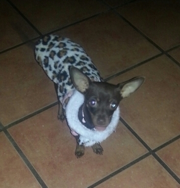 vane_avgs's profile picture. 