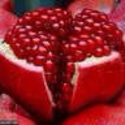 المحبة هي العطاء بلا حدود..والحب عقيدة (لاتؤمنواحتى تحابوا)