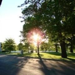 #runner, biker/cyclist  if i had the gears, duathlete (can be a triathlete), enjoy the outdoor all seasons. love nature n #running in #yeg