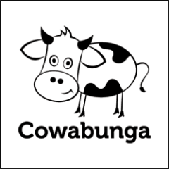 Cowabunga, LLC is a Florida web content and social media management firm founded in 2006. We write, we blog, we tweet, and more.