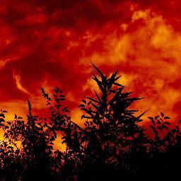 DeMiAutoria's profile picture. 