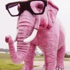 Elephant_Brain1's profile picture. 