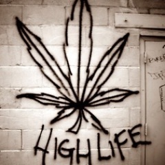 Buds, Bongs, Medical, Weed Porn, Beards, Marijuana Facts, Pipes, Hash, Tommy Chong, if you like any of these, you will enjoy this page! @YodaOfDank

Smoke On!