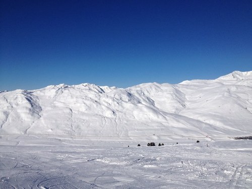 mt_yah's profile picture. 