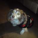 ♥sonia♥ - @sonia_camp - Twitter