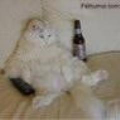 Ham Radio, Stock Investor, Stansberry Alliance, Clippers Fan. Profile photo is actual photo of me watching Fast Money and other financial TV programs.