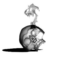 slstuningshop's profile picture. 