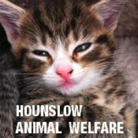 HounslowAnimalWelfar (@h_animalwelfare) 's Twitter Profile