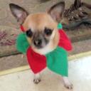 Loretta Johnston - @lorettazd - Twitter