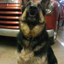 bill cagle - @billcagle44 - Twitter