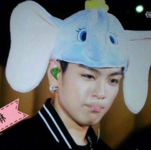 สวัสดีค่ะ ชื่อแพรวนะ เราเป็นวีไอพีตัวน้อยๆ 55555555555