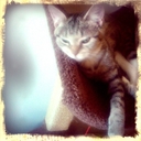 Kurt McBride - @slayerfan66 - Twitter