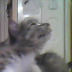 ryanmaxwell123's profile picture. im ryan i like bmx im a black belt in T.K.D i like gaming and i think im a nerd 0.o