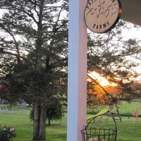 Prinzhaven Farms (@prinzhavenfarms) 's Twitter Profile