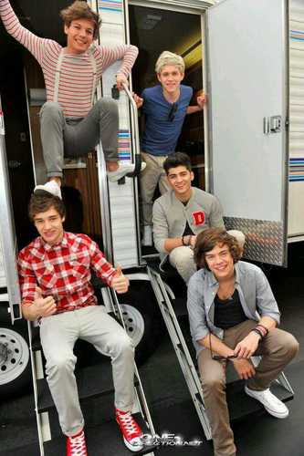 1D_Fandom_'s profile picture. 5 Boys. 9 Kidneys. 12 Nipples. One Direction!:)(: